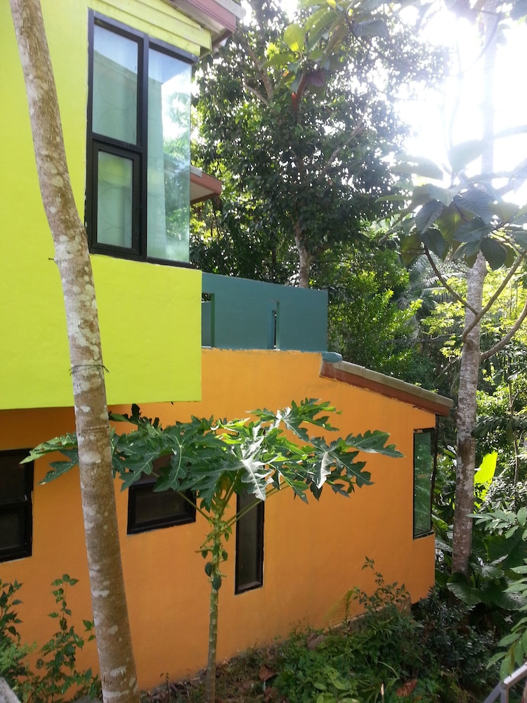 The Tree Madauwan