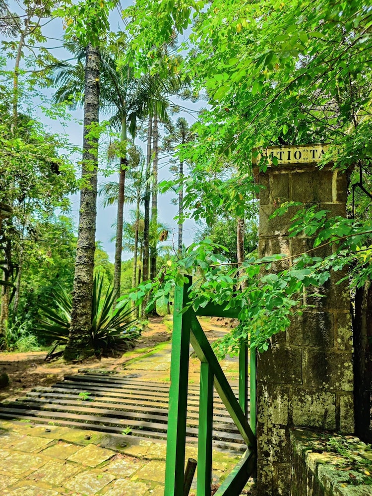 Paradisiacal Site in National Park