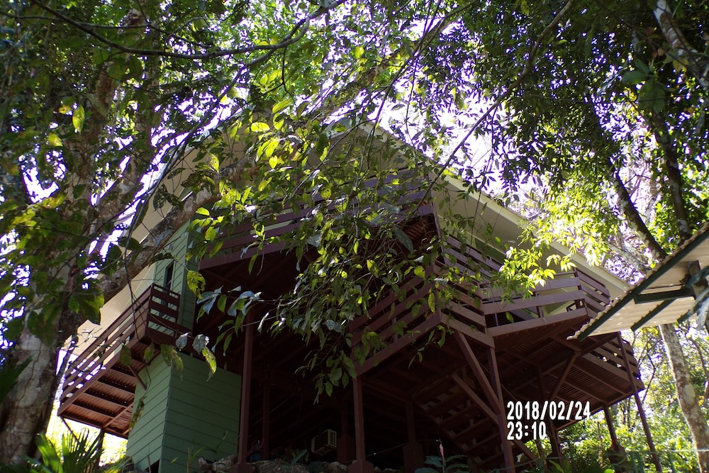 Mycasa's Bed and Breakfast