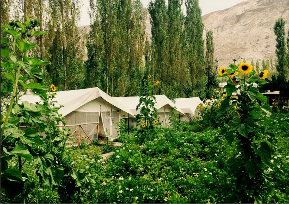 TIH Mystique Meadows Camp