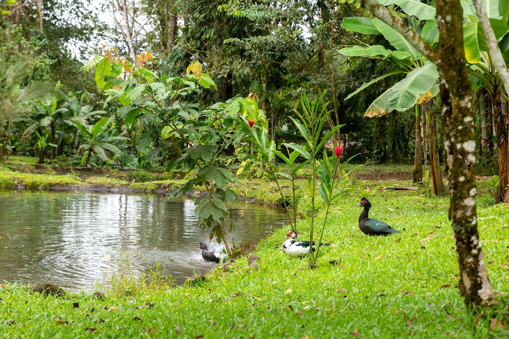 Villa el Bosque La Fortuna