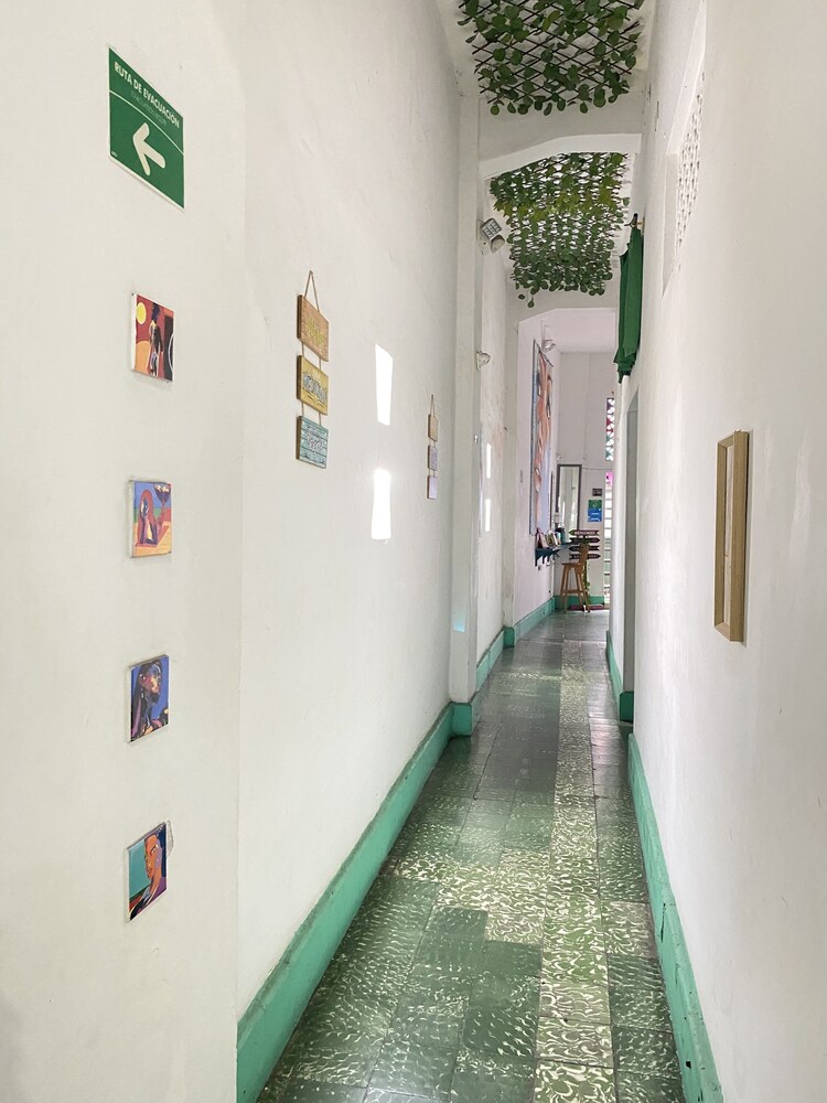la viduka Hostel s.a.s