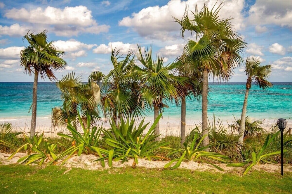 Wild Orchid 3 Bedroom 3 Home