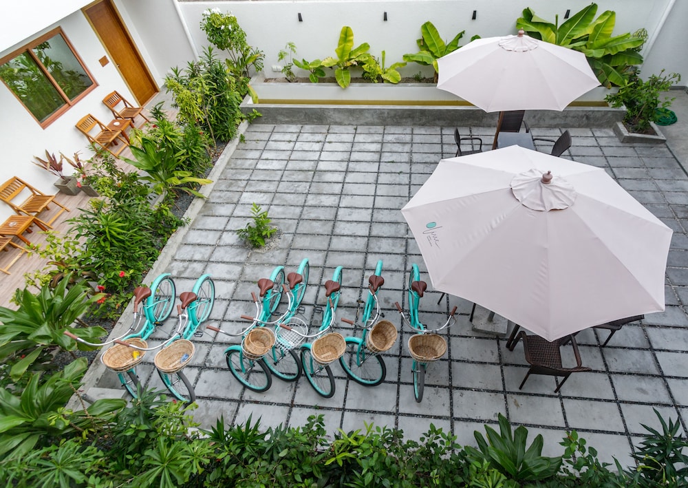 Olive Goidhoo