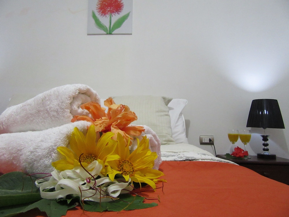 Photo 66