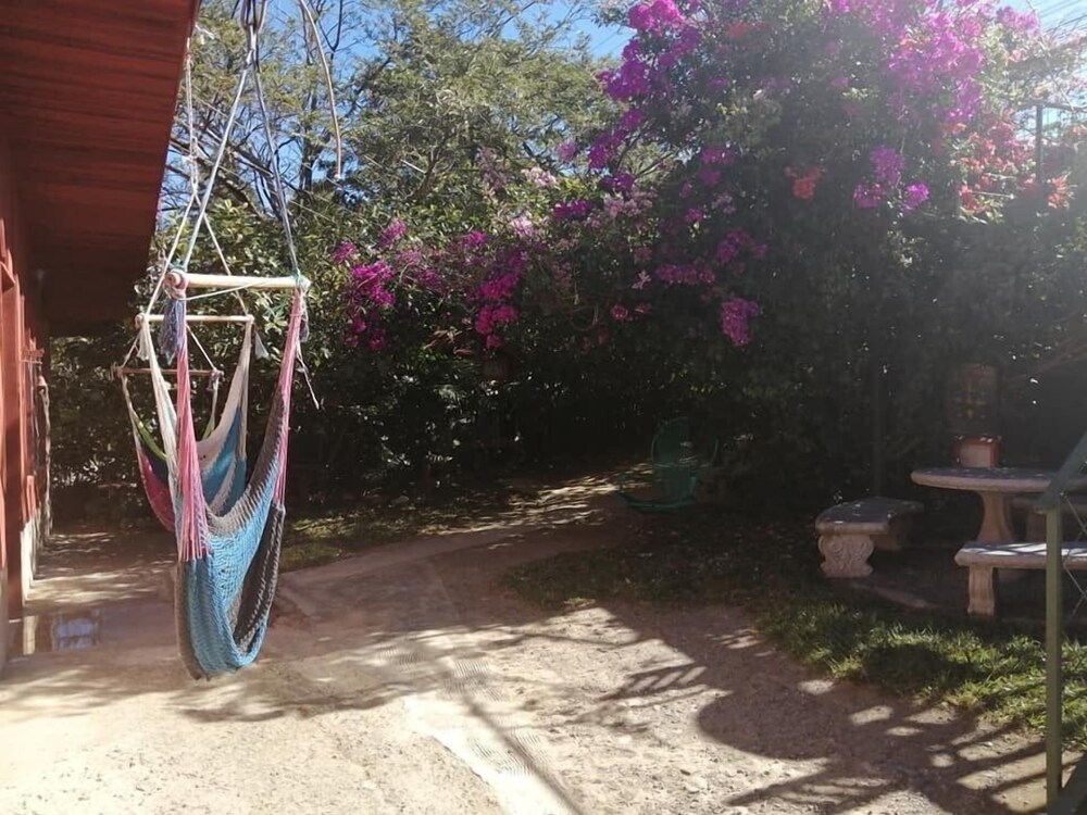 Photo 38