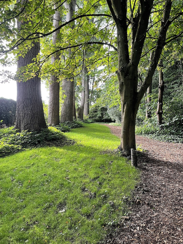The Green
