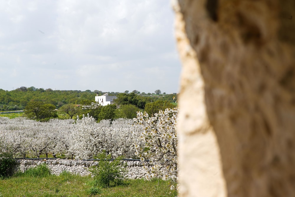 Masseria Guadiano Vecchio