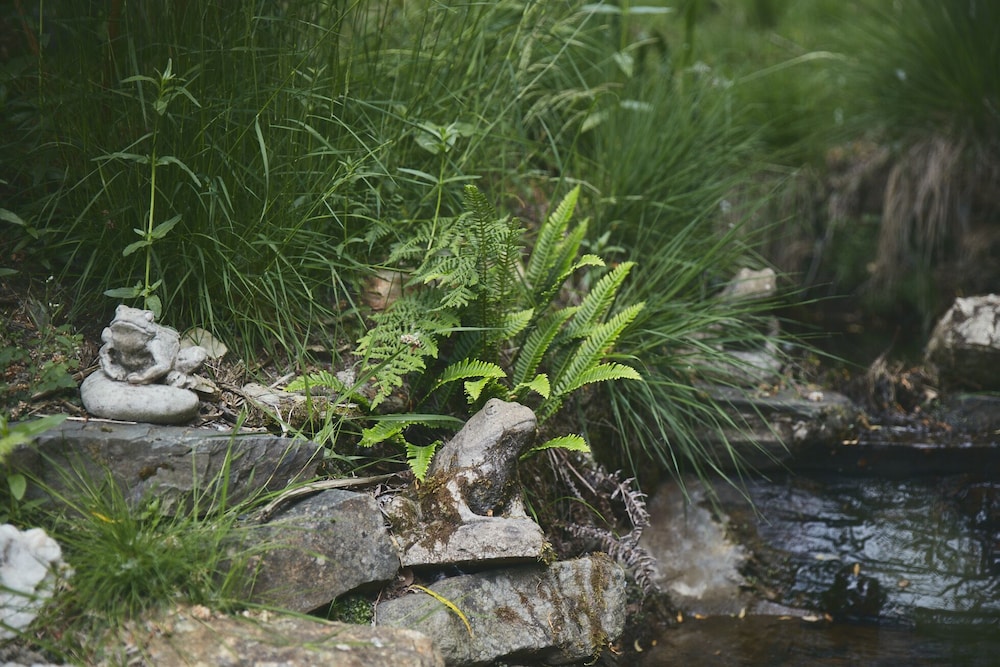 Photo 27