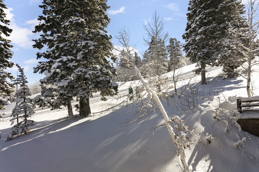 Stag Lodge at Deer Valley Resort - Four Bedroom with Spa #30 4 Condo