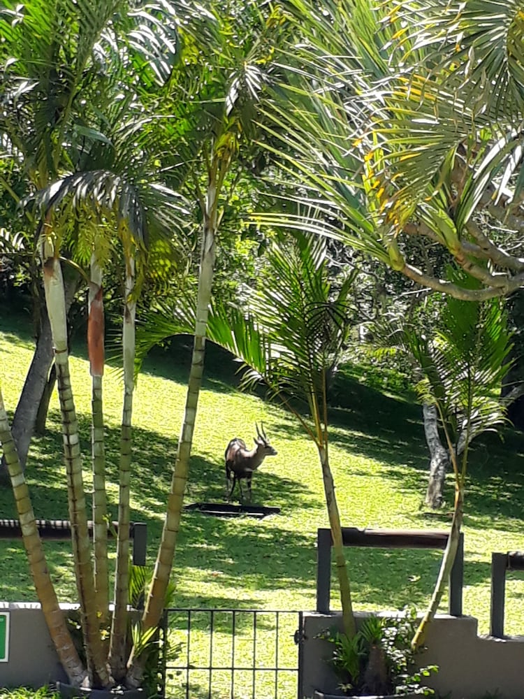 Sandpiper Guest House