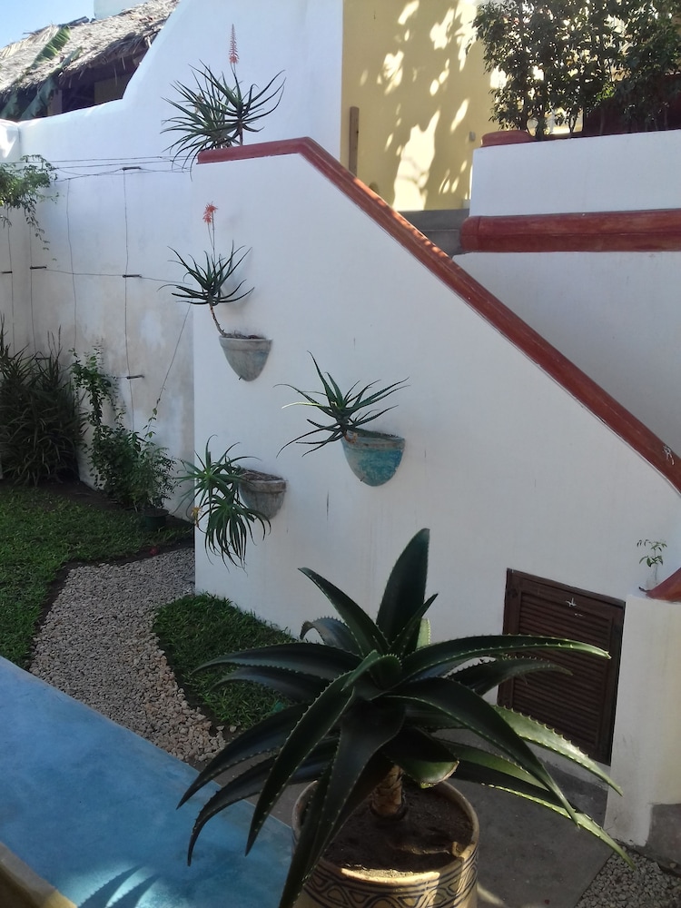 Jardim dos Aloés - Unique B&B, photo 37
