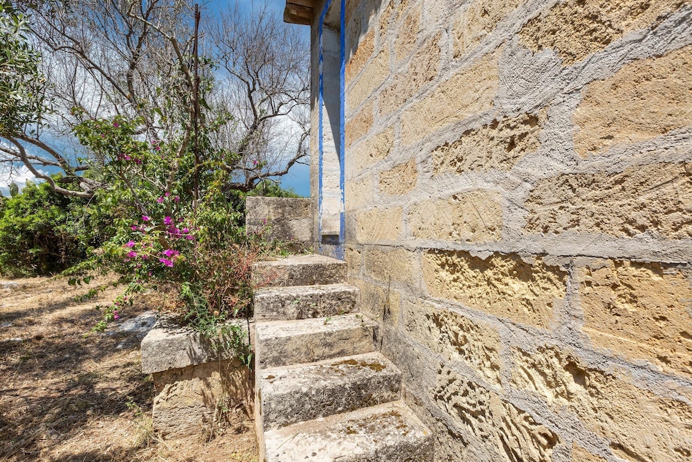 Photo 29