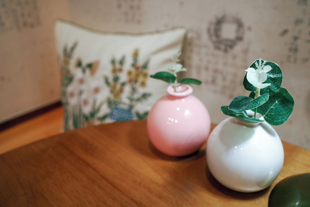 Starria Hostel foreign guest only 80