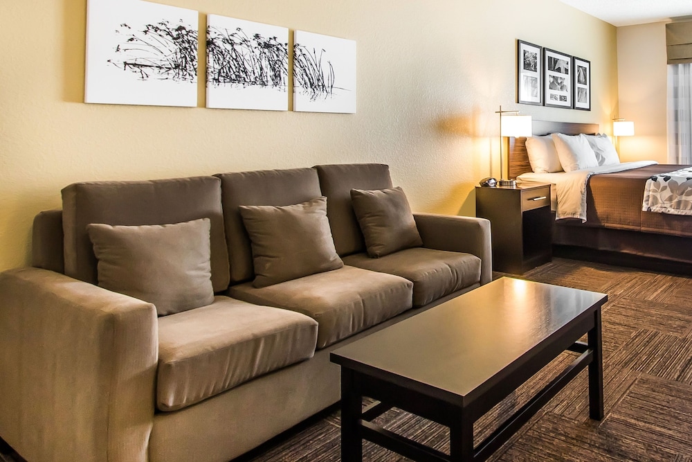 Comfort Suites Leesville near Fort Johnson view 4