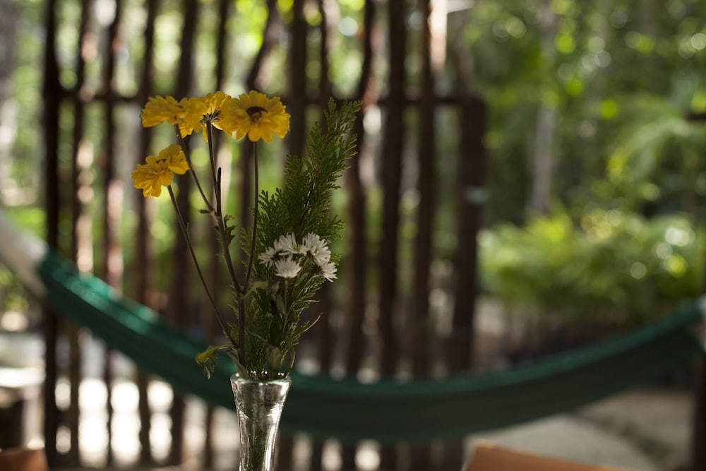 Chaktunche Rancho Ecolodge