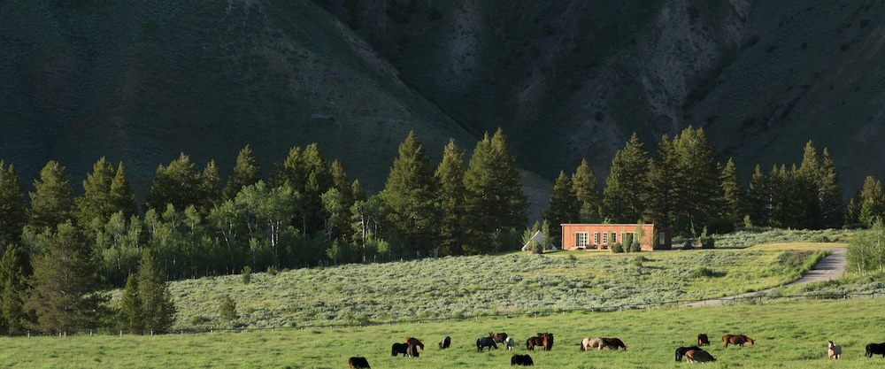 The Cabins At Snake River Sporting Club