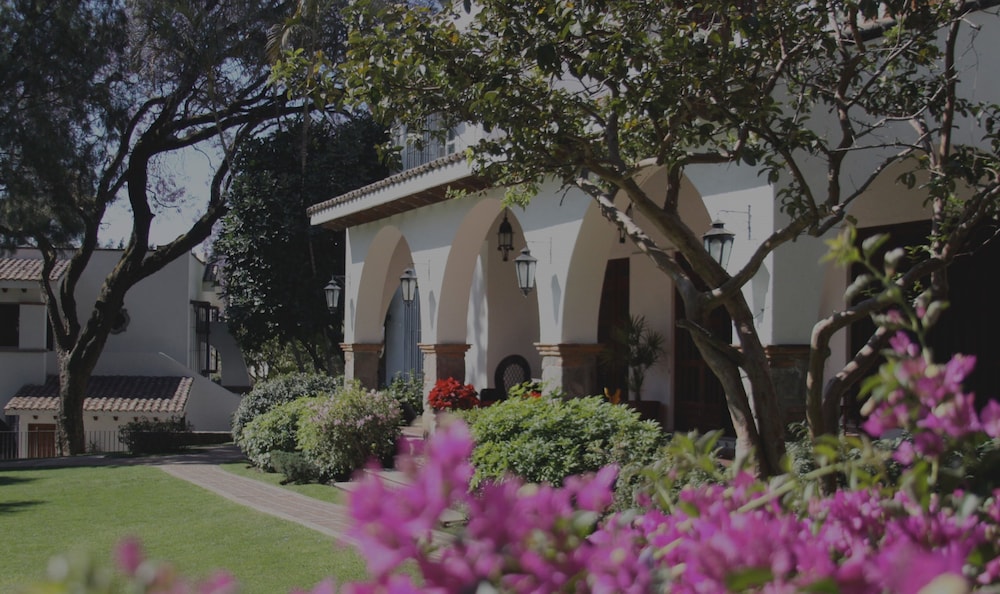 Photo 31