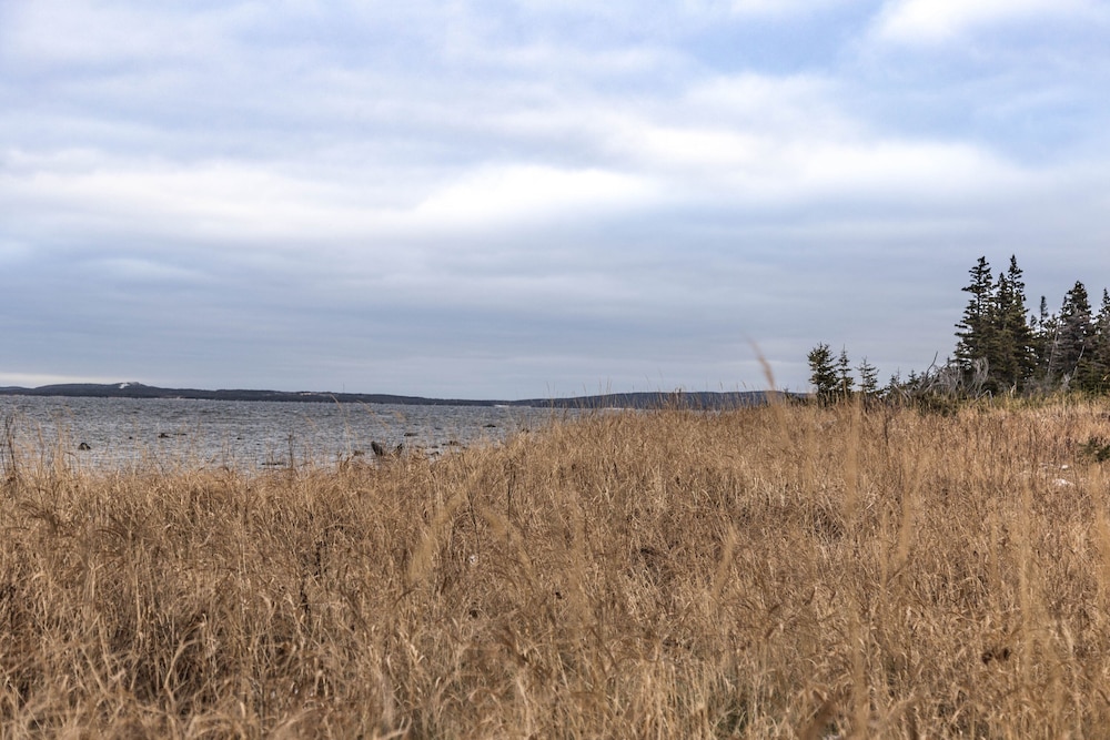 Burnt Cape Cabins