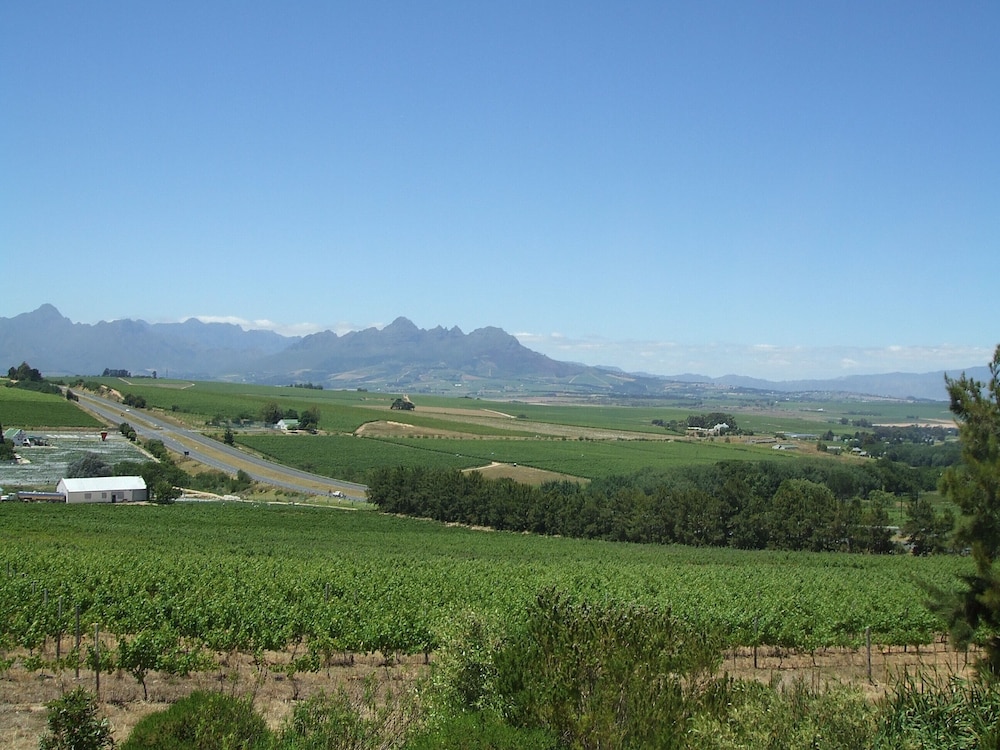 Constantia Cottages