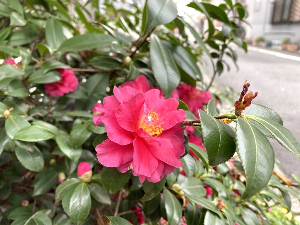 Photo 20