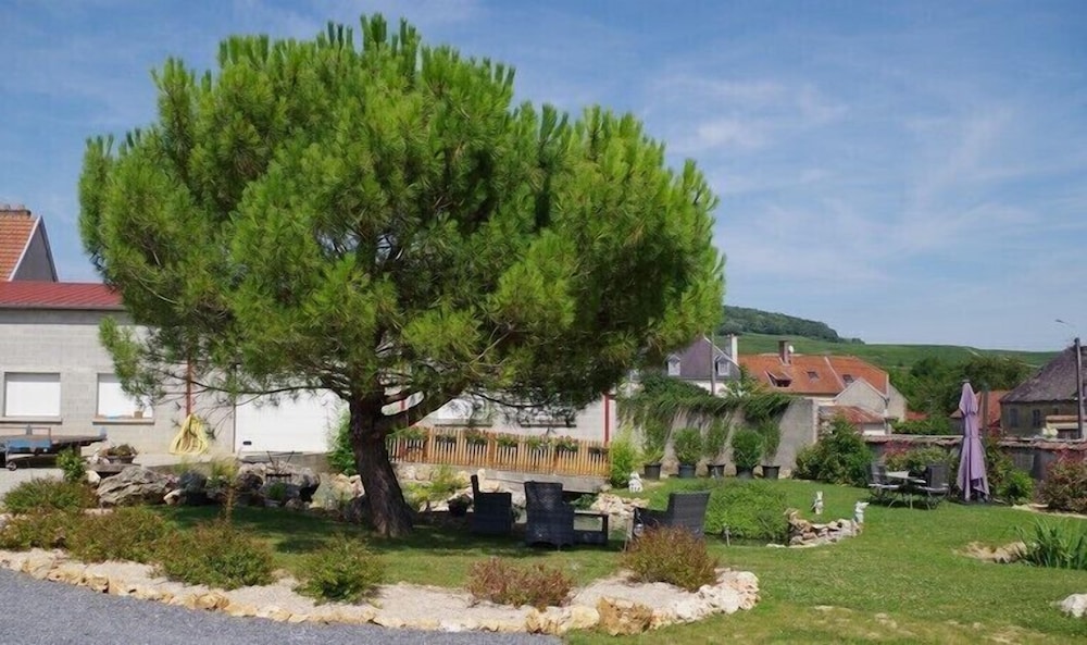 Photo 41