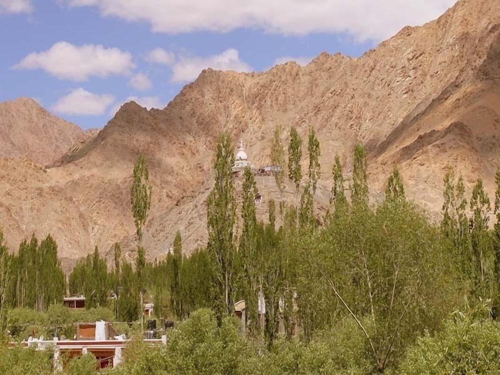 The Hotel Himalaya Leh