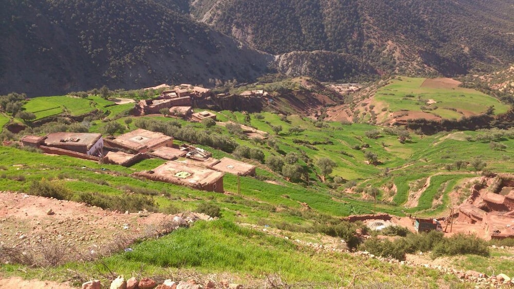 Mohatirste