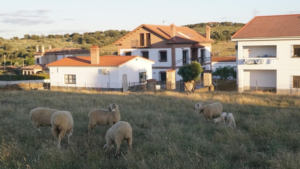 Apartamentos Estrellas de Monfragüe