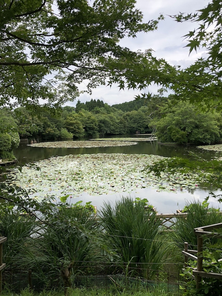Tsubaki Ann Kyoto