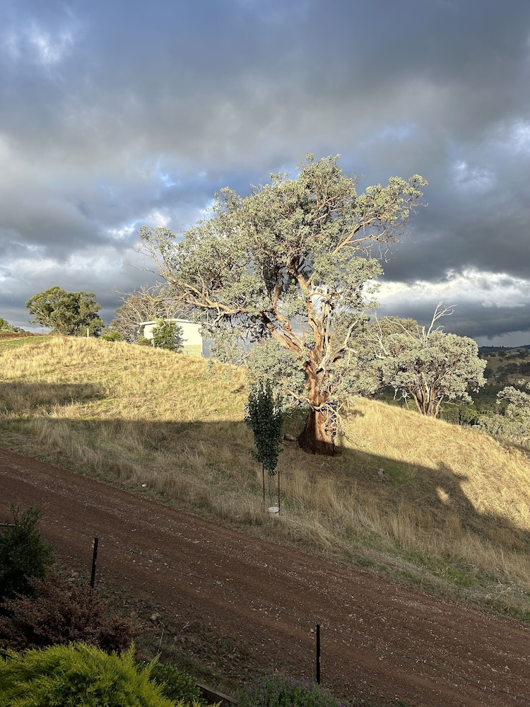 Burnt Creek Cottages Mansfield