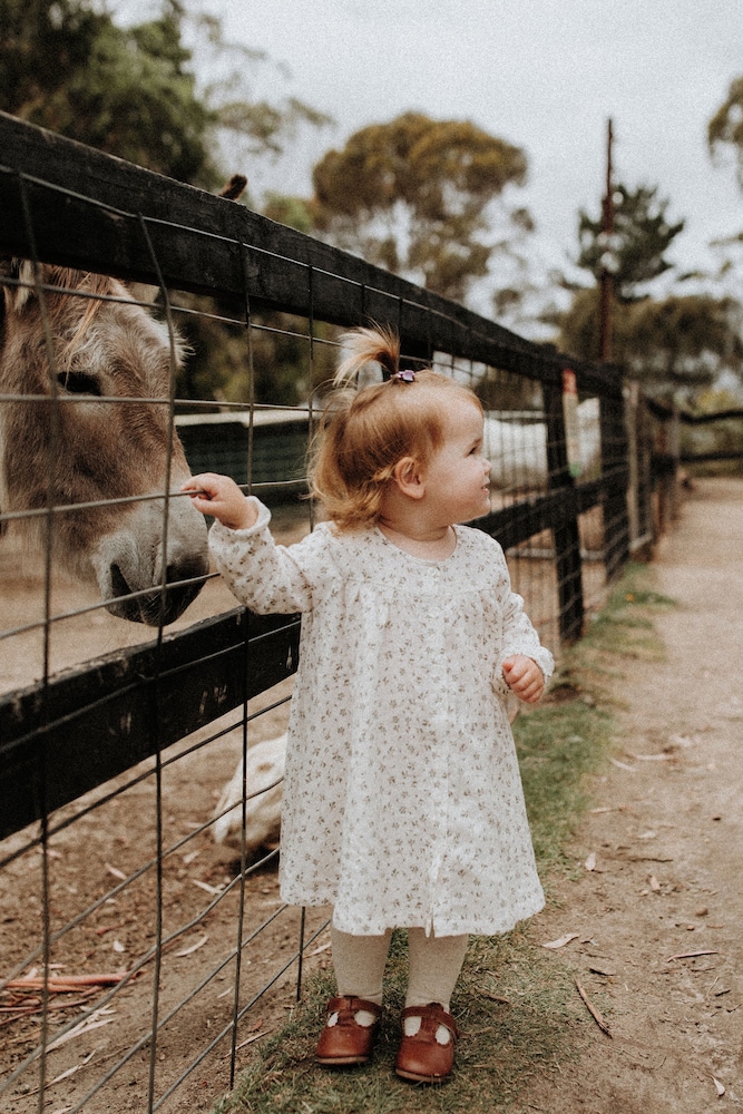 Hahndorf Farm Barn
