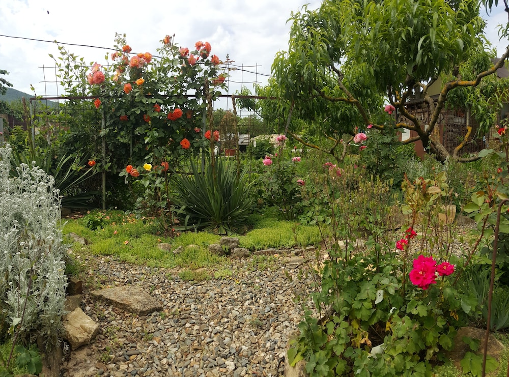 Flowering garden