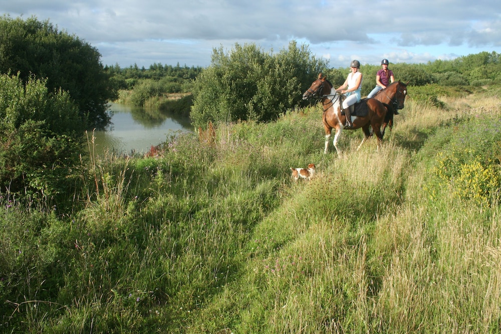 Hollamoor Farm B&B