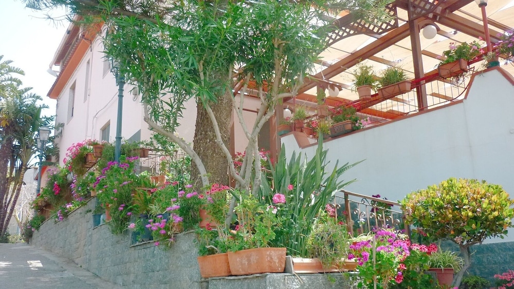 PARADISO