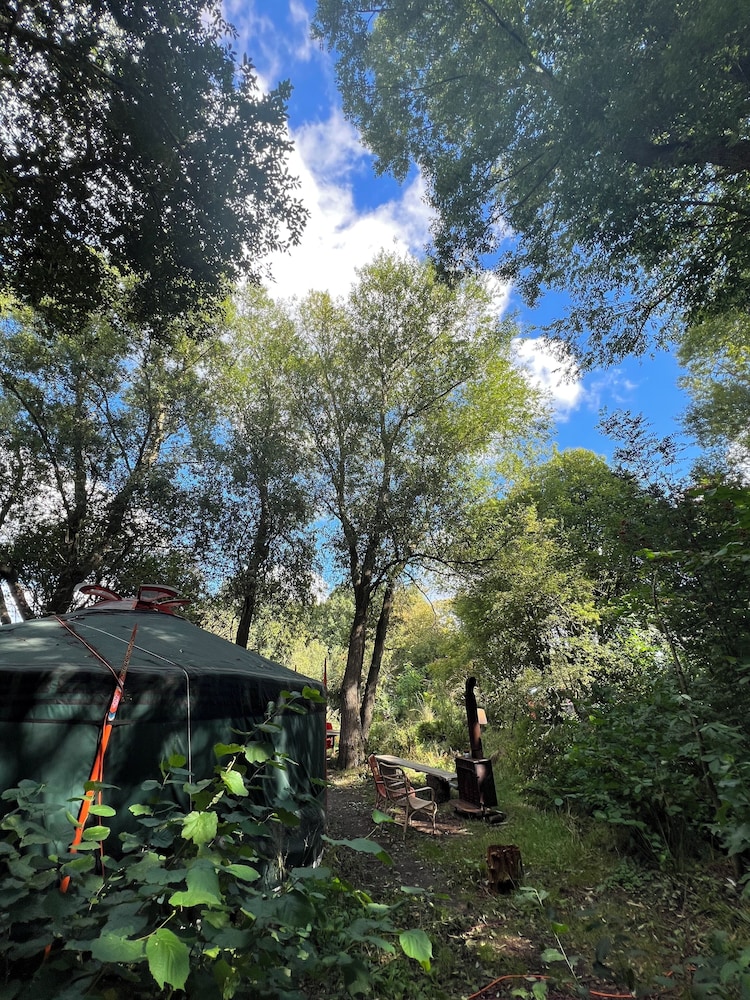 Camping De Helleborus