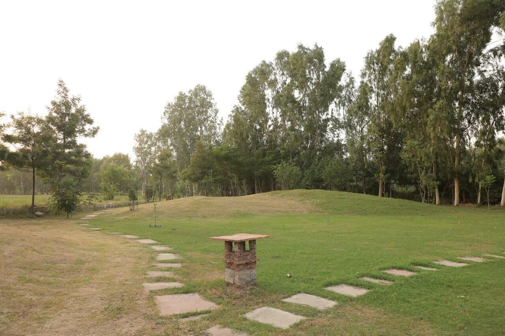 Photo 27