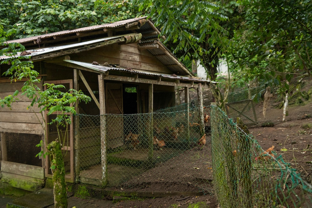 Rancho Margot