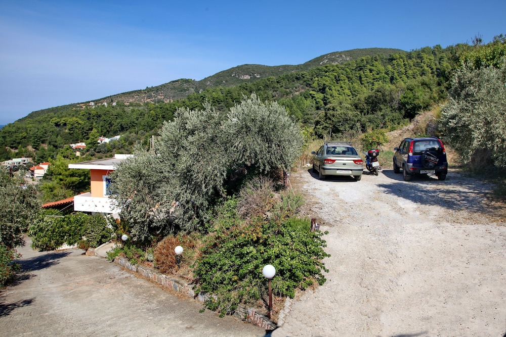 Photo 40