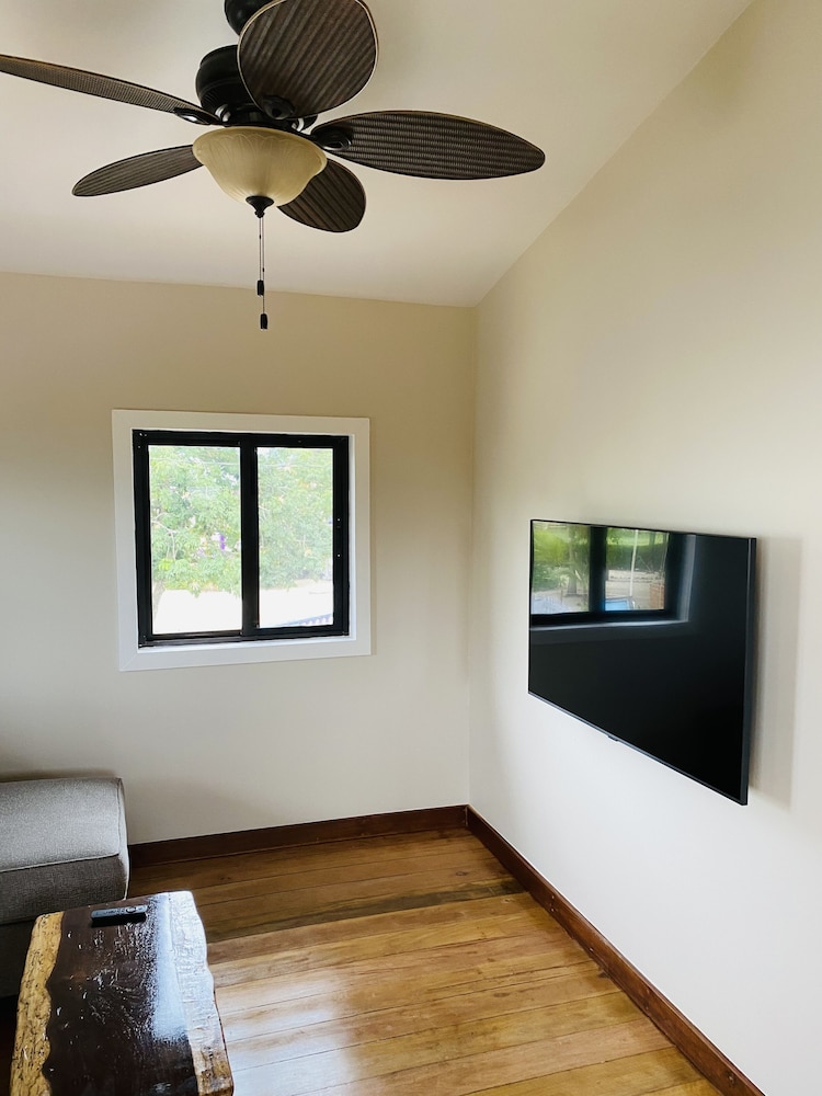 The Flying Toucan view 5