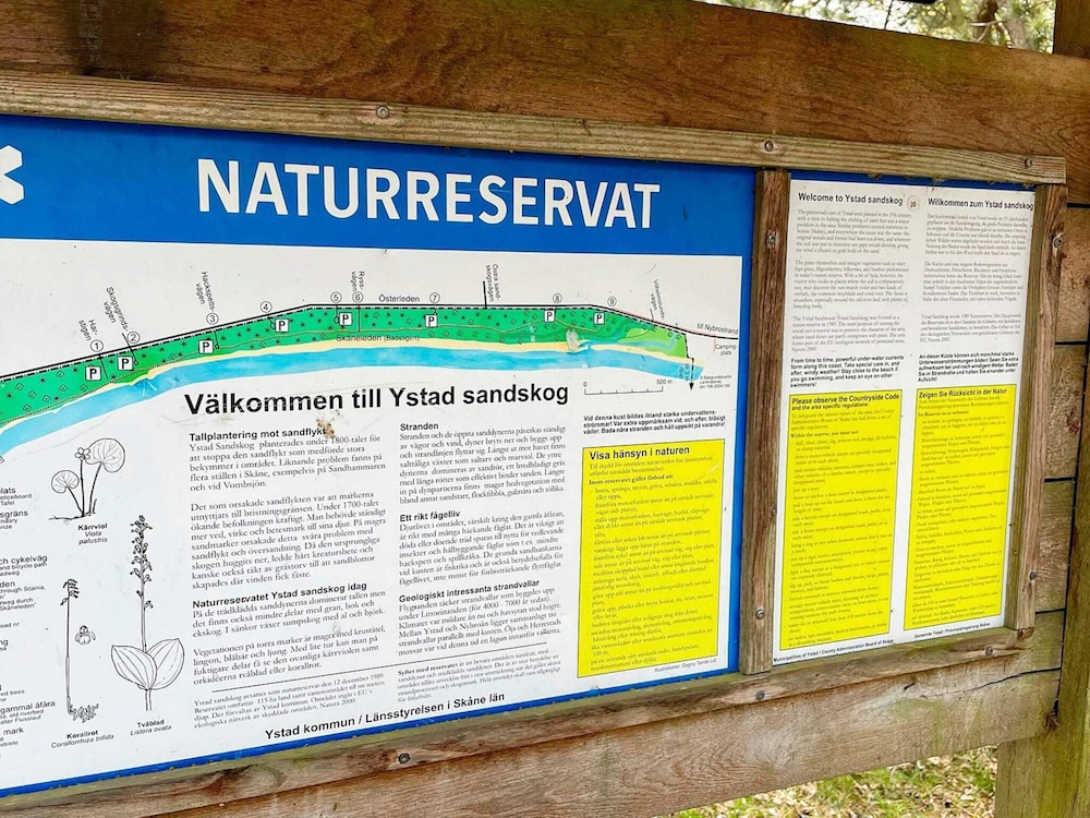 4 Person Holiday Home in Ystad view 2