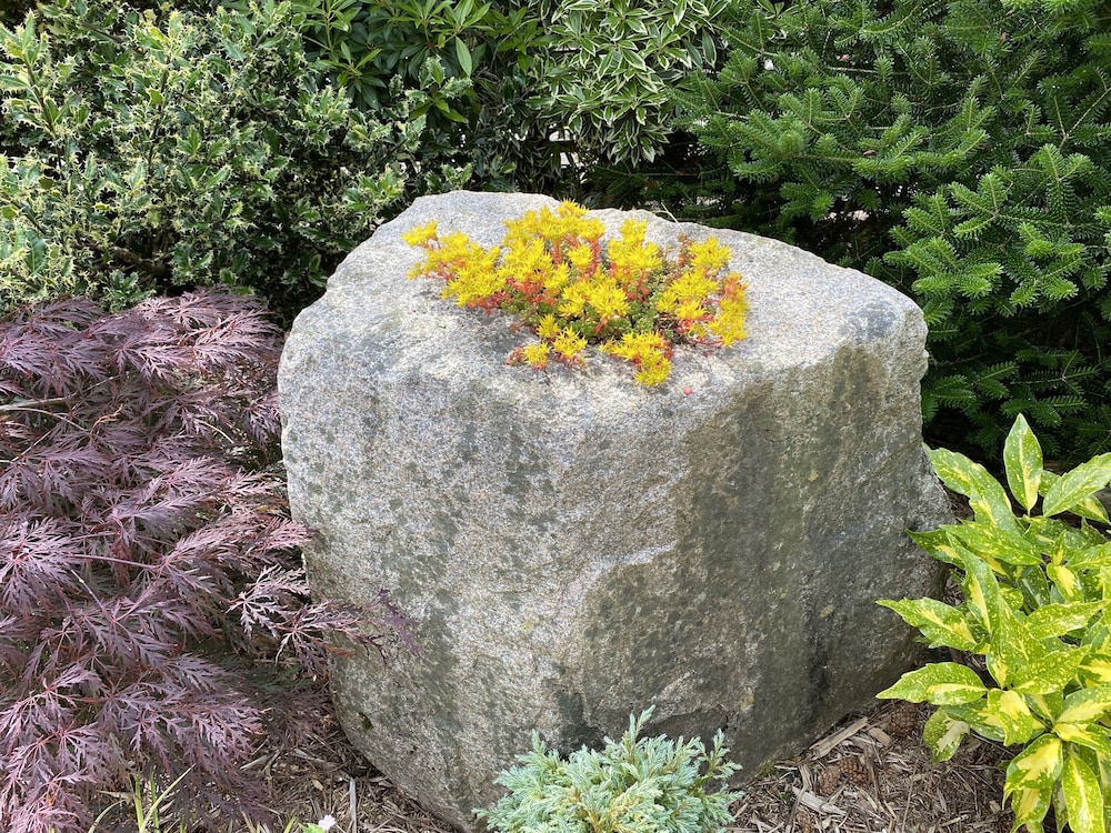 Photo 30