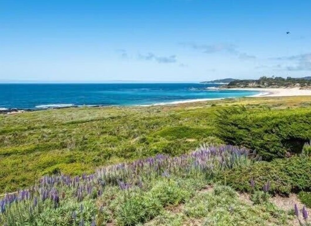 Monterey Vacations - Lx5: Ocean Front Villa - Property Image 4