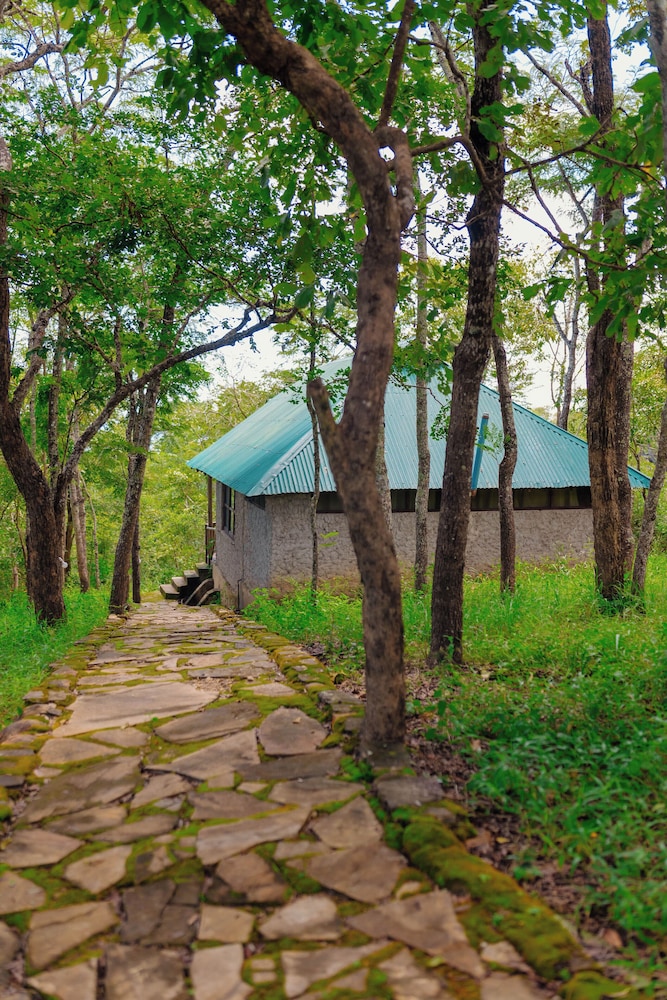 Mikumi Safari Lodge view 2