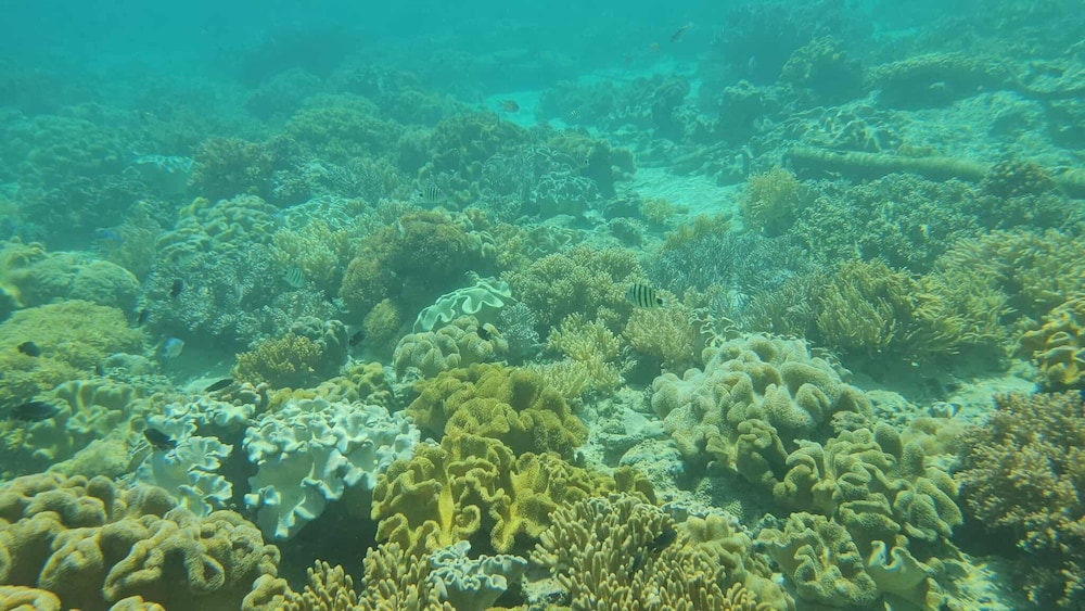 Eagle's Nest Beach Resort- Samal Island