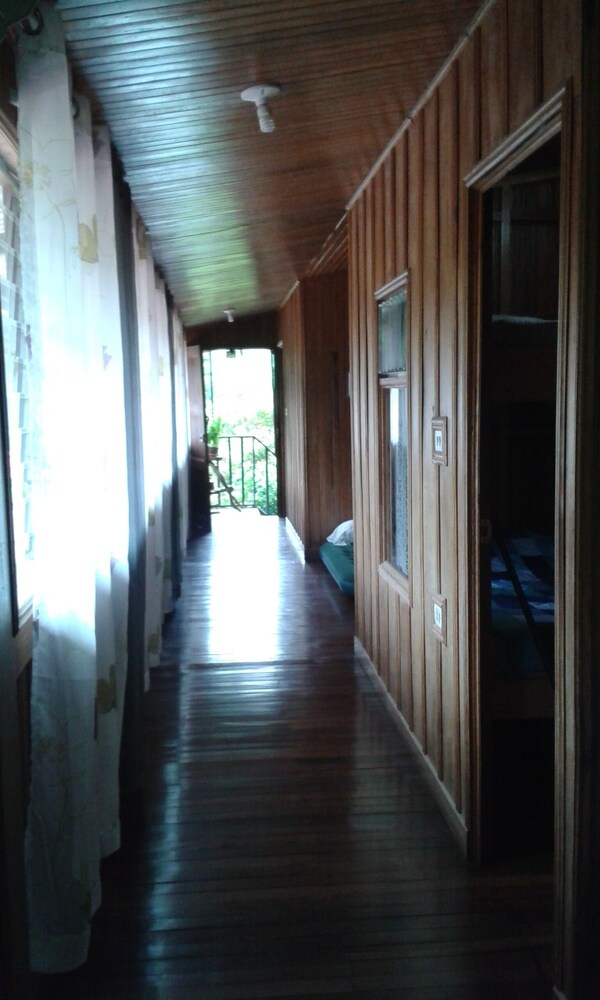 Photo 39