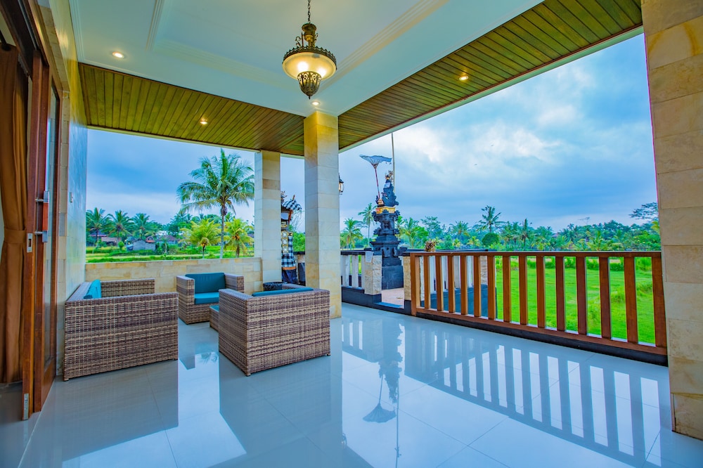The Vamana view 2