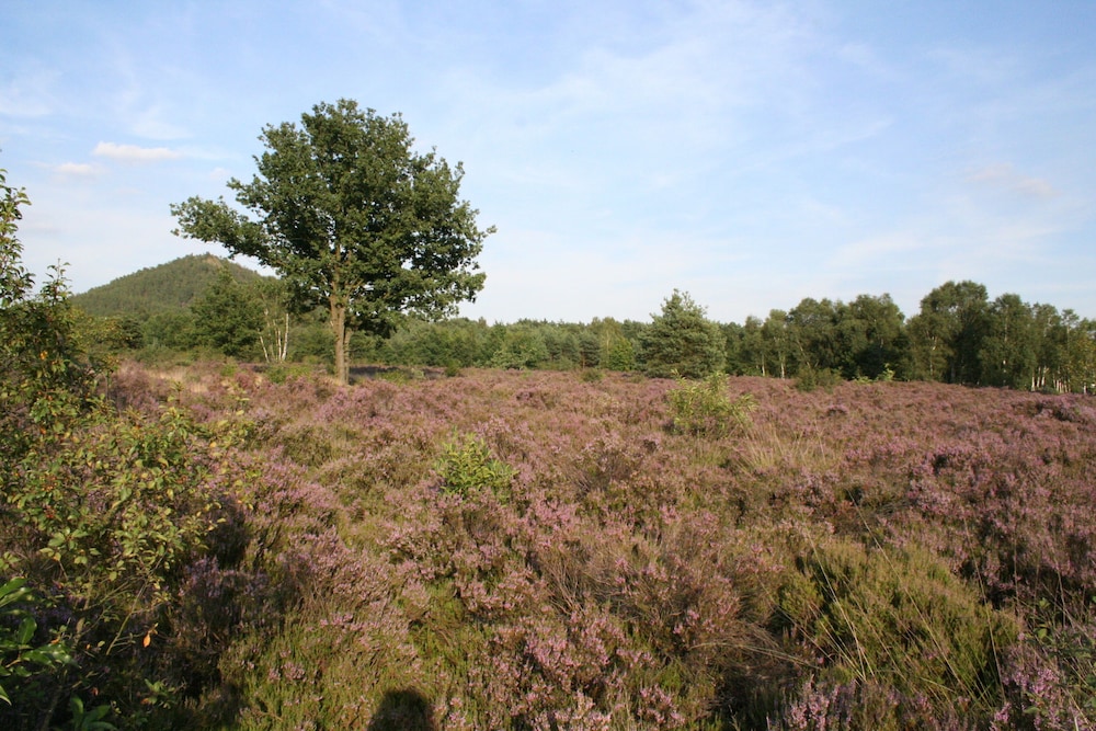 B&B Crijbohoeve