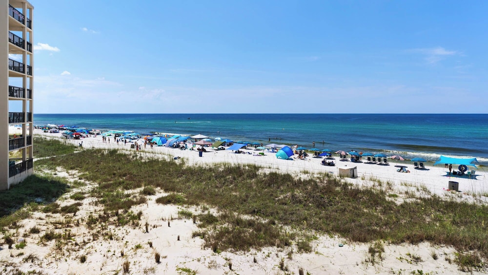Beachfront Charm Meets Lake Life + Free Tickets: Dolphin Cruise & More!