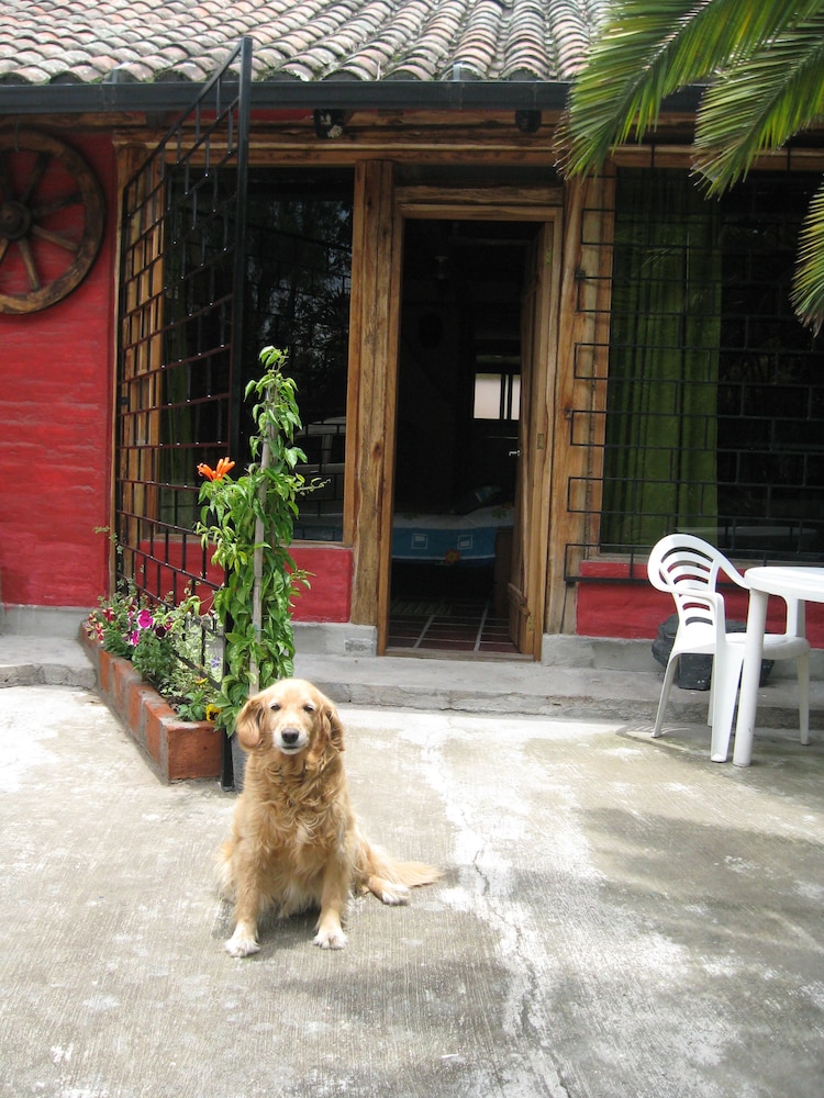 Arie s Cabin